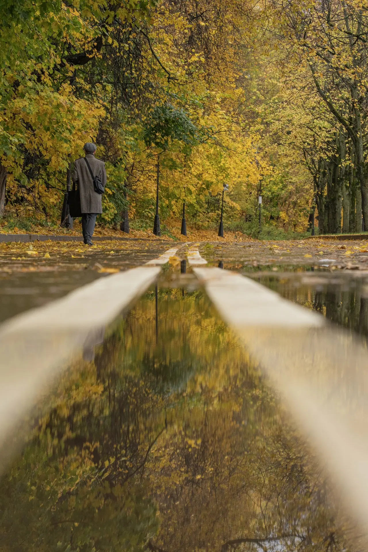 Построили планы на это воскресенье за вас 🍁