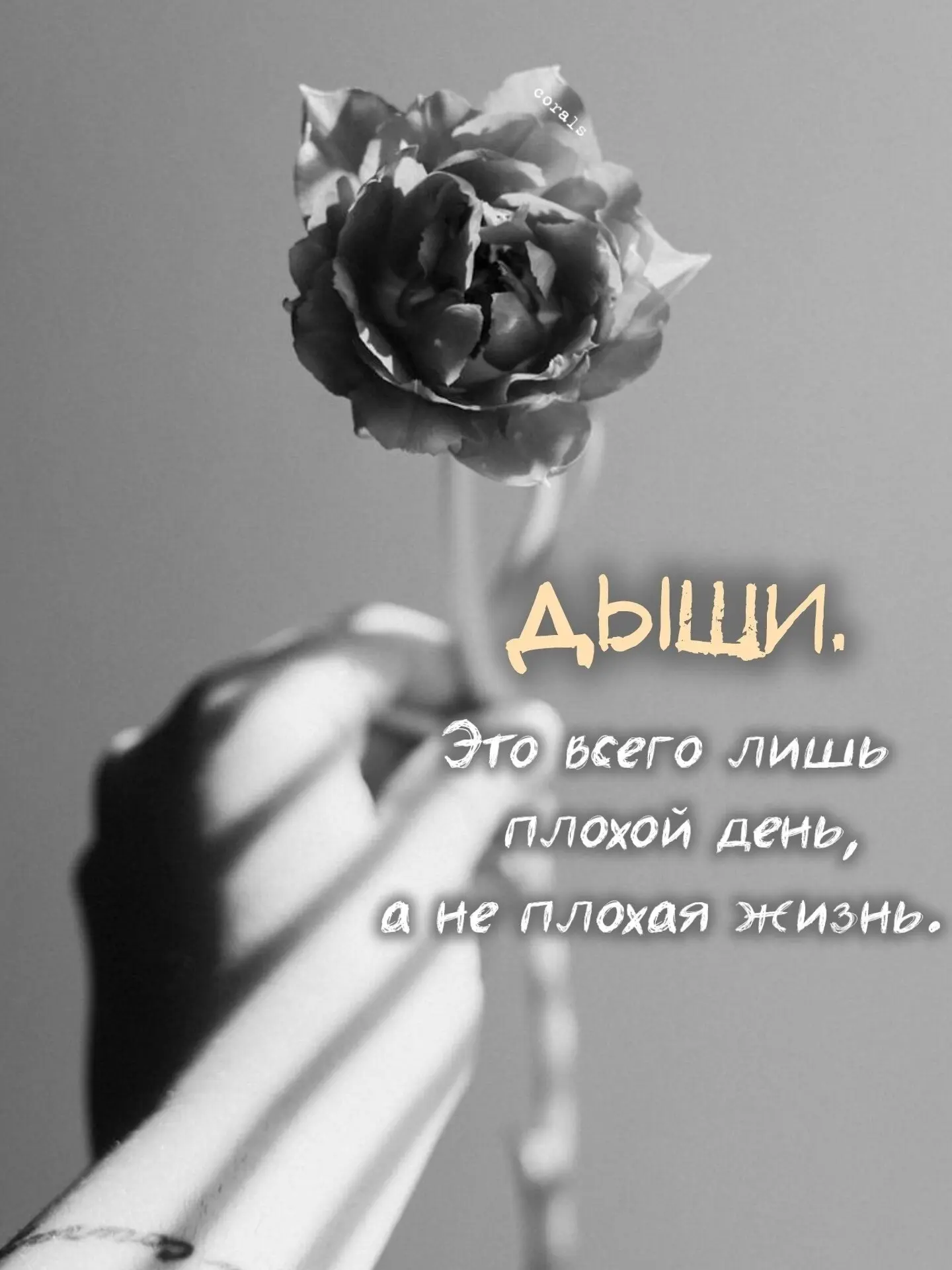 🇷🇺  Мы в МАХ : https://max.ru/dusha_angela_new
