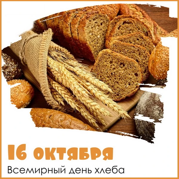 Сегодня отмечается Всемирный день хлеба. Не зря говорят «хлеб – всему голова», ведь это...
