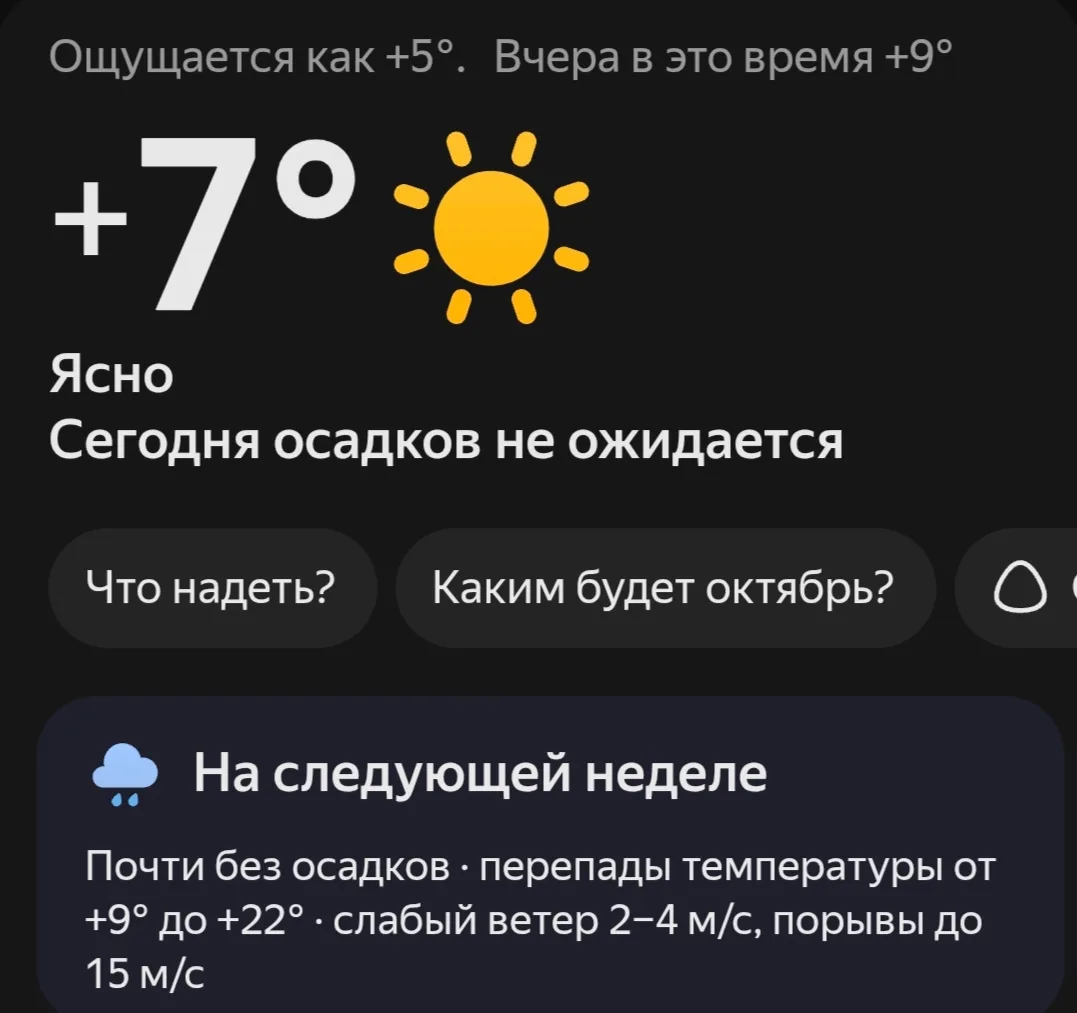 Сегодня с утра прохладненько, но по прогнозу впереди прям лето, лето 😊 поживём - увидим