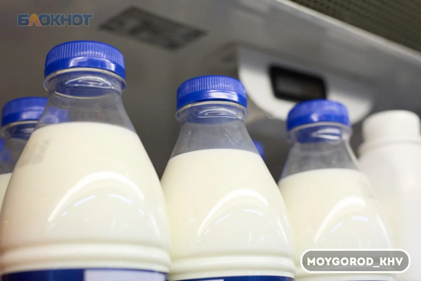 #moygorod_khvновости |  ХАБАРОВСКИЙ КРАЙ