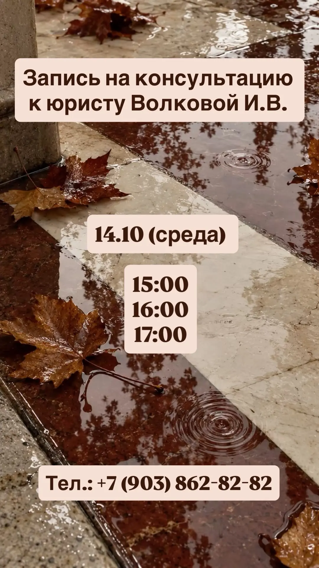 🌐 Сайт |📱 ВКонтакте  | 📲 Канал в ТГ