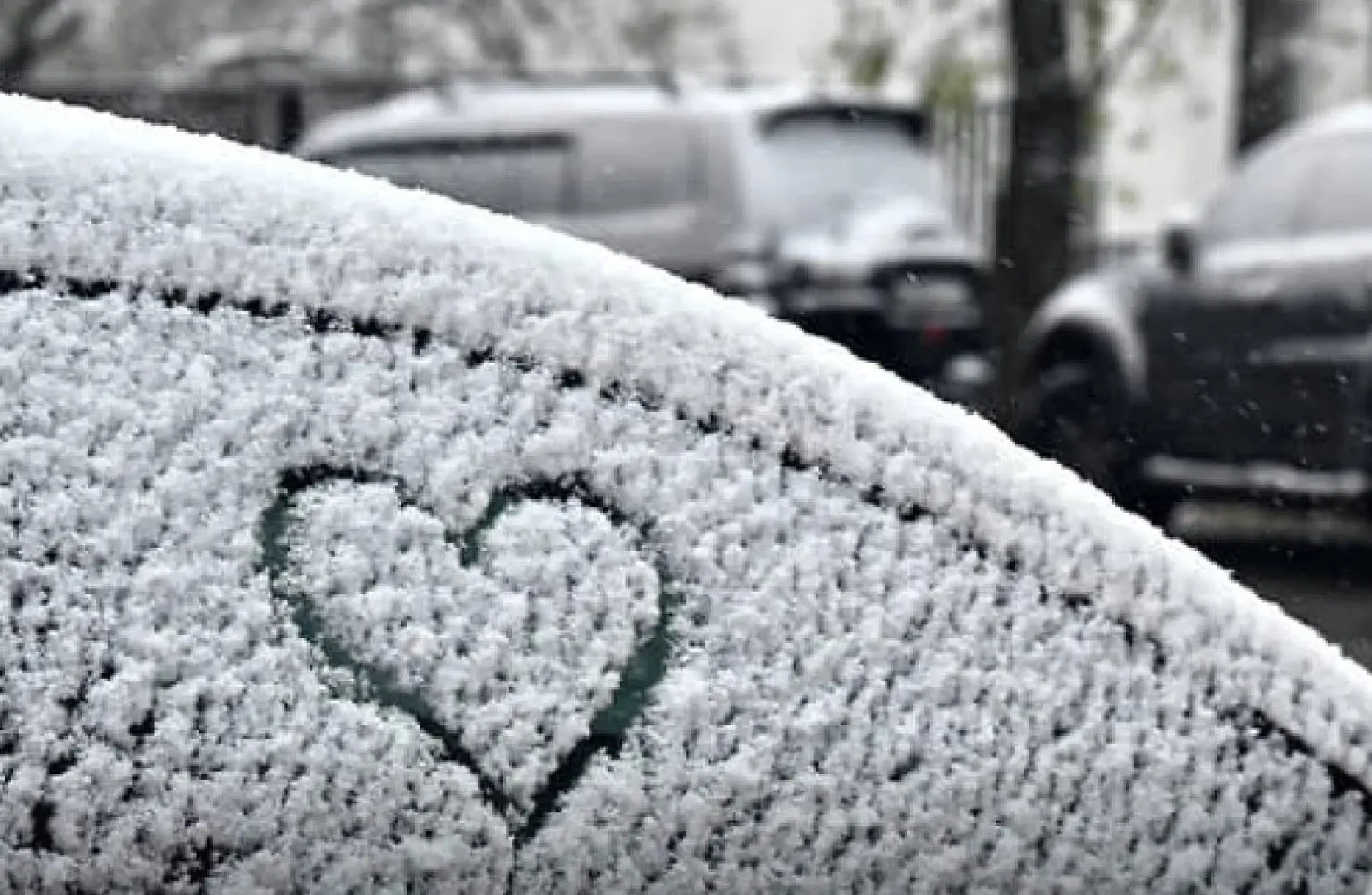 ⛄ Первый снег может выпасть в московском регионе уже через 9 дней