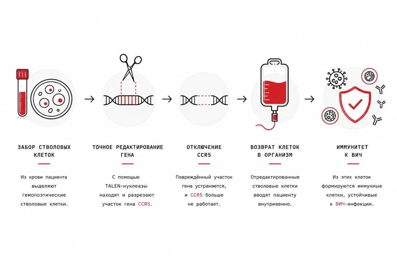 🧬 Можно ли воспроизвести эффект «берлинского пациента» без донора?