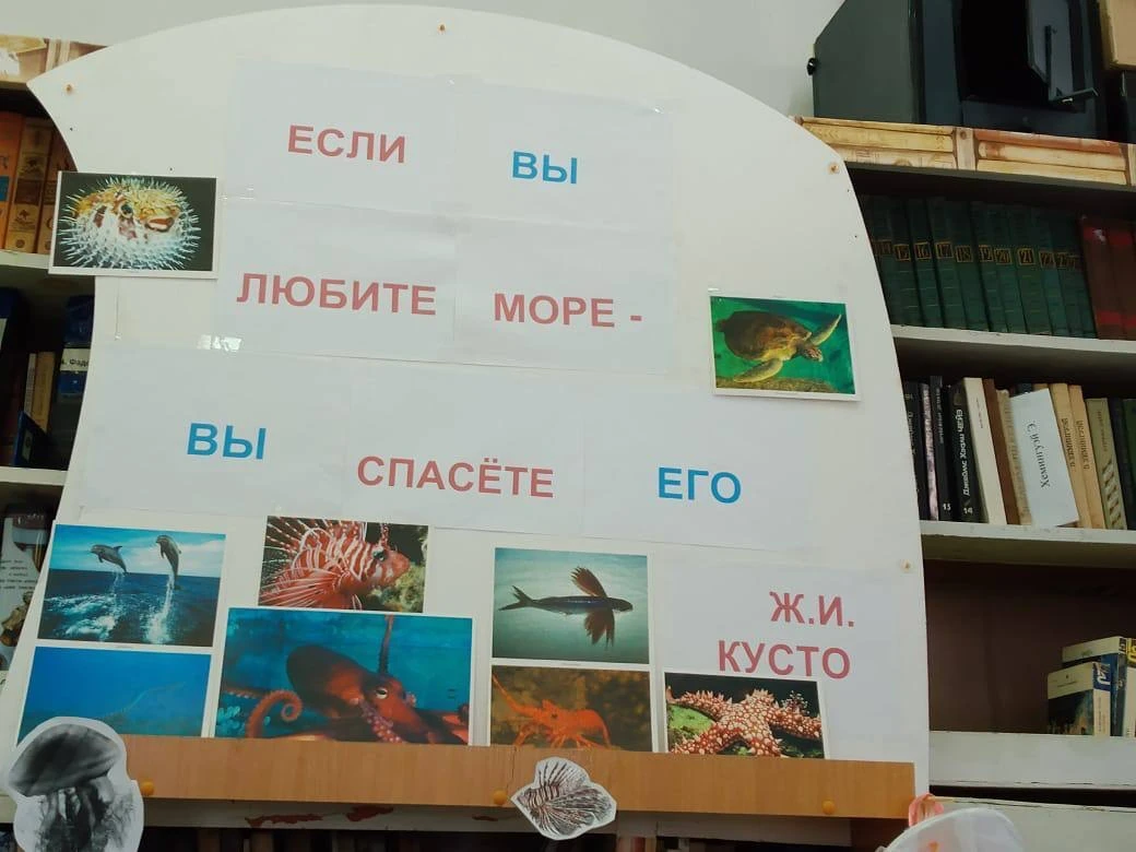 🌊📚 Шум прибоя и тайны океана — в нашей школьной библиотеке. 🐚✨