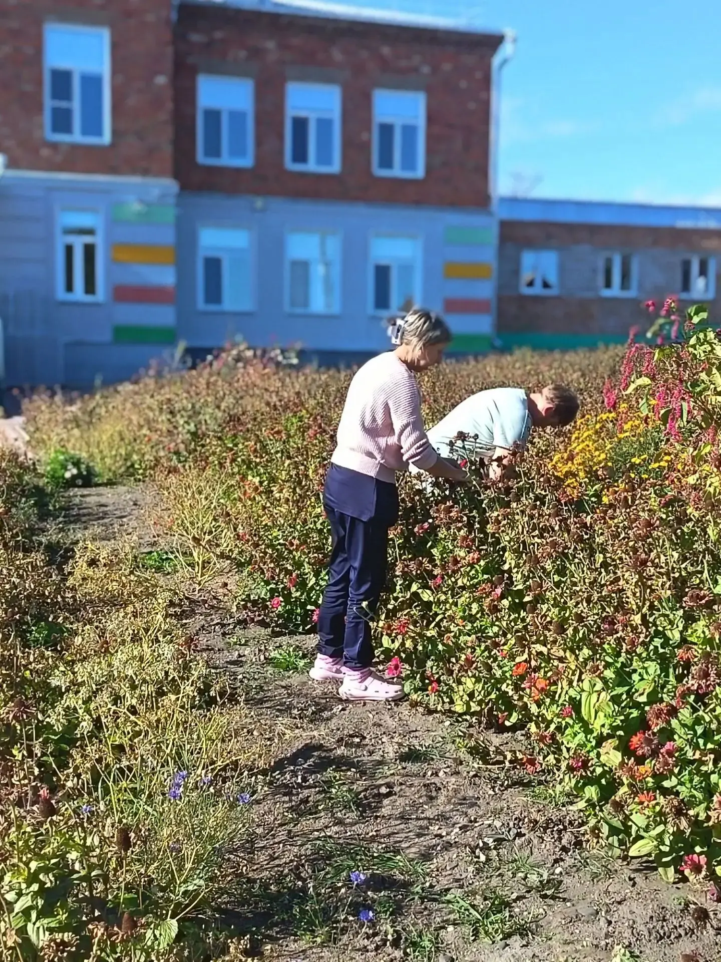 Дорогие друзья, Новороссийская средняя школа приглашает вас принять участие в Акции "Да...