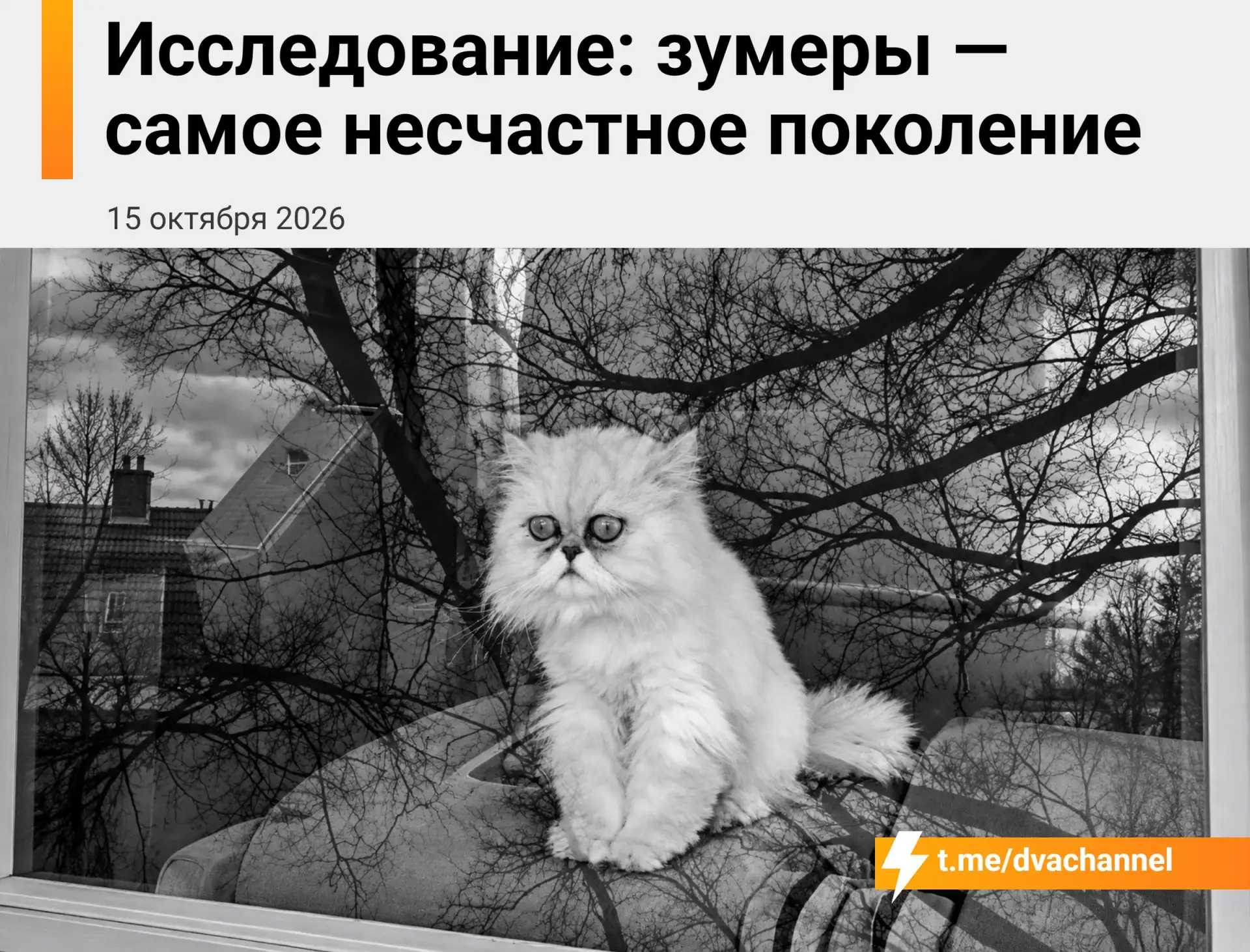 Зумеры оказались самым несчастным поколением — в США среди молодёжи 18-29 лет счастливы...