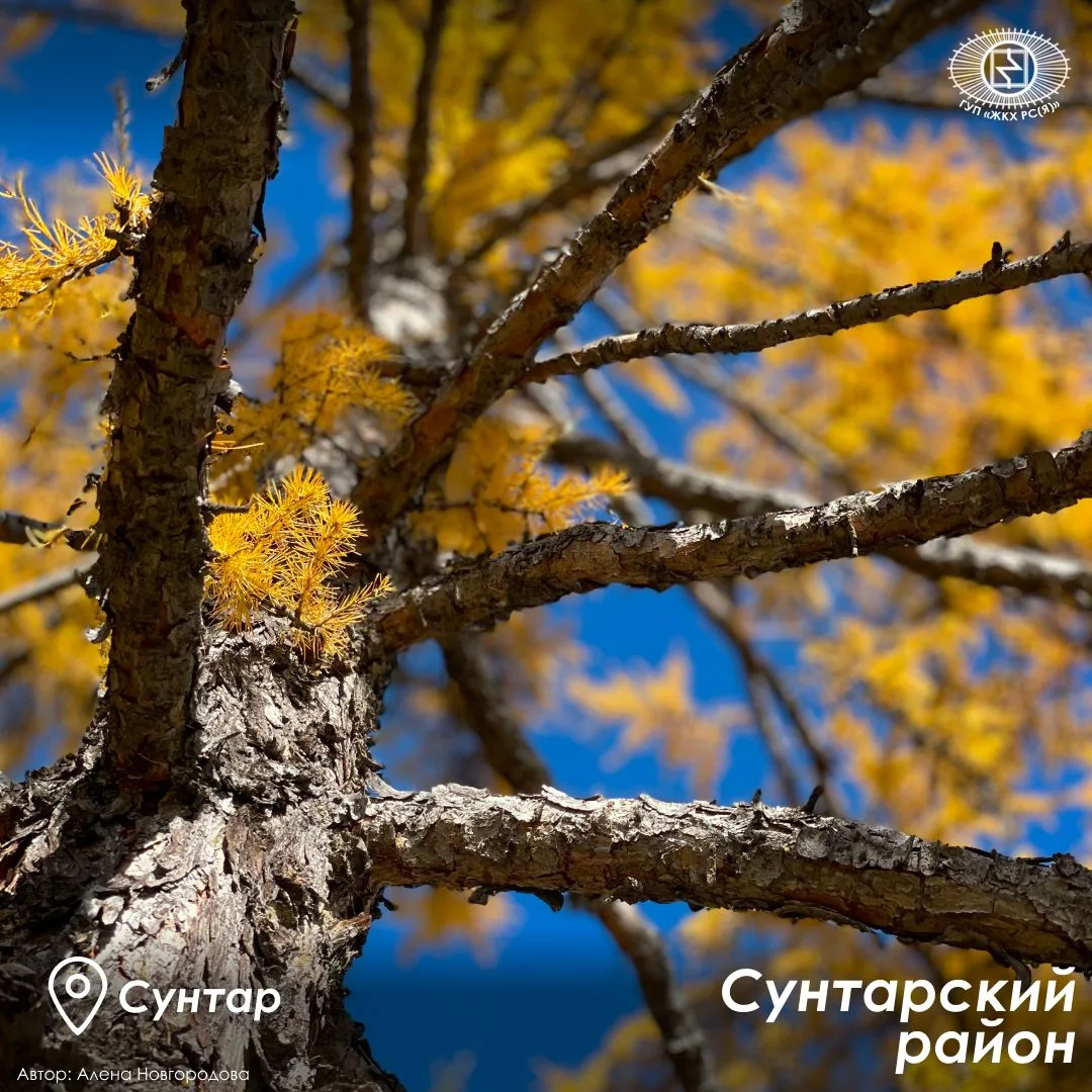 📸Работники ГУП «ЖКХ РС(Я)» вновь поделились атмосферными кадрами природы Якутии.