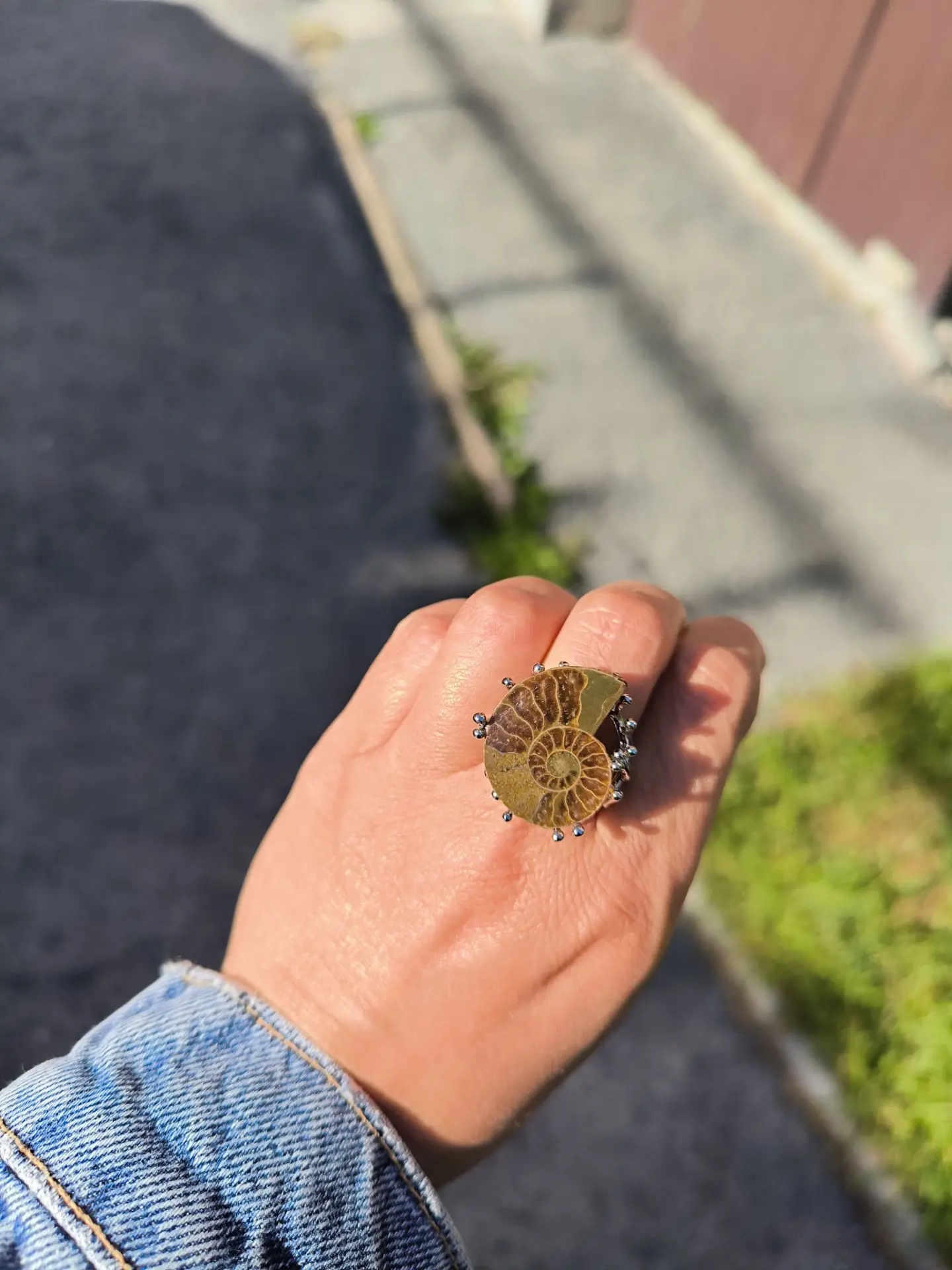 Муж подарил) Давно хотела аммонит 🐚
