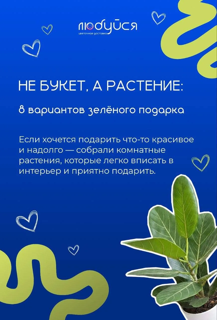 ЦВЕТЫ МОГУТ ЖИТЬ ДОМА НЕ ТОЛЬКО В ВАЗЕ 🏺