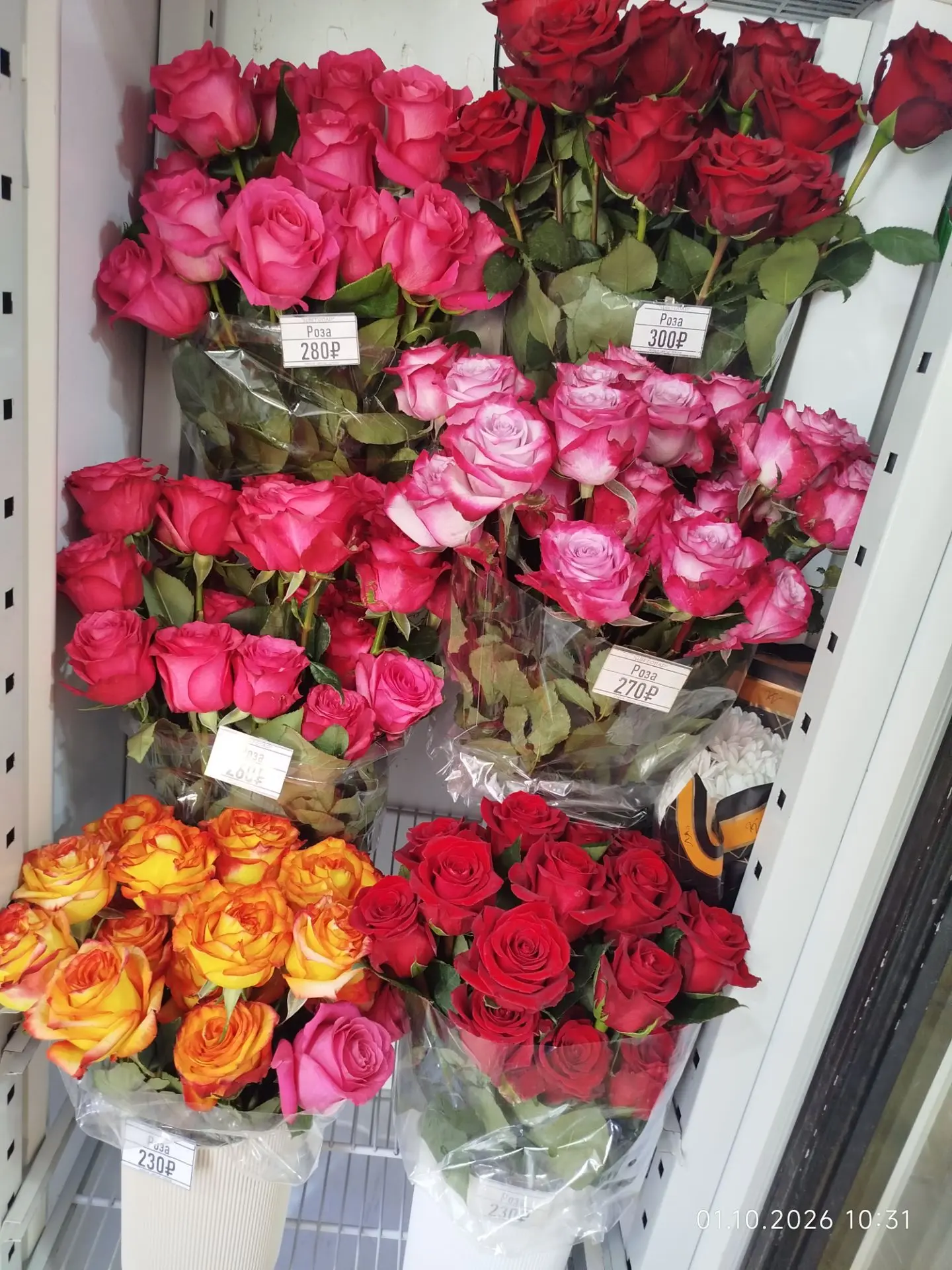 👋 Розы Эквадор с последней поставки 🌹