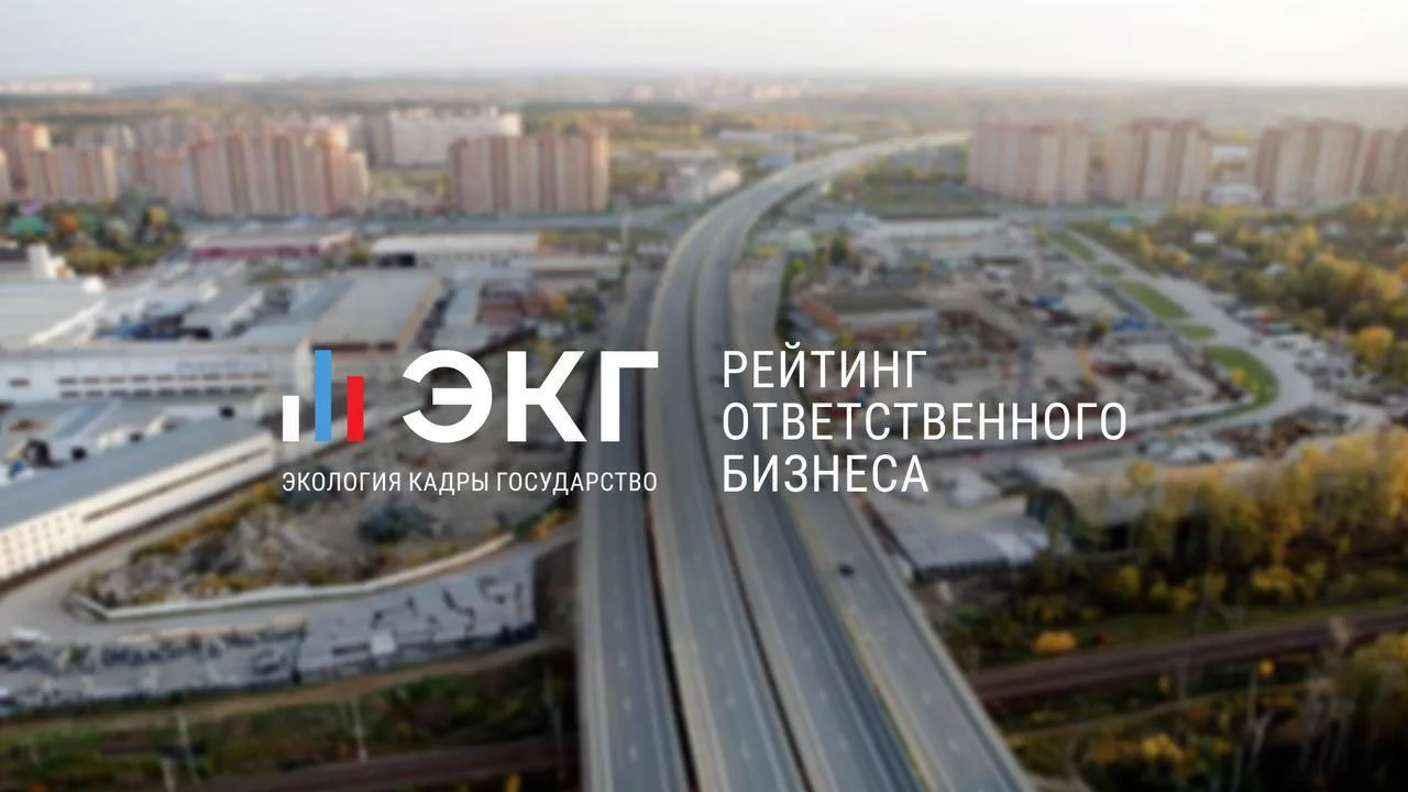 В Подмосковье статус ответственного бизнеса можно получить онлайн по ЭКГ-рейтингу.