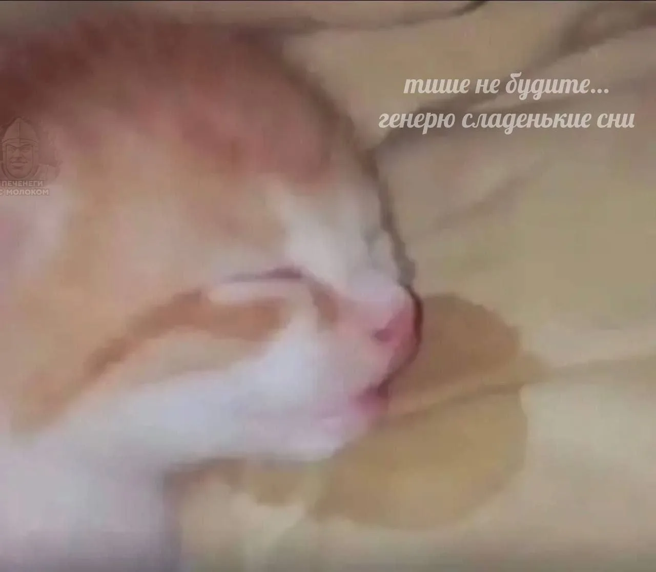 Всем ночь!)