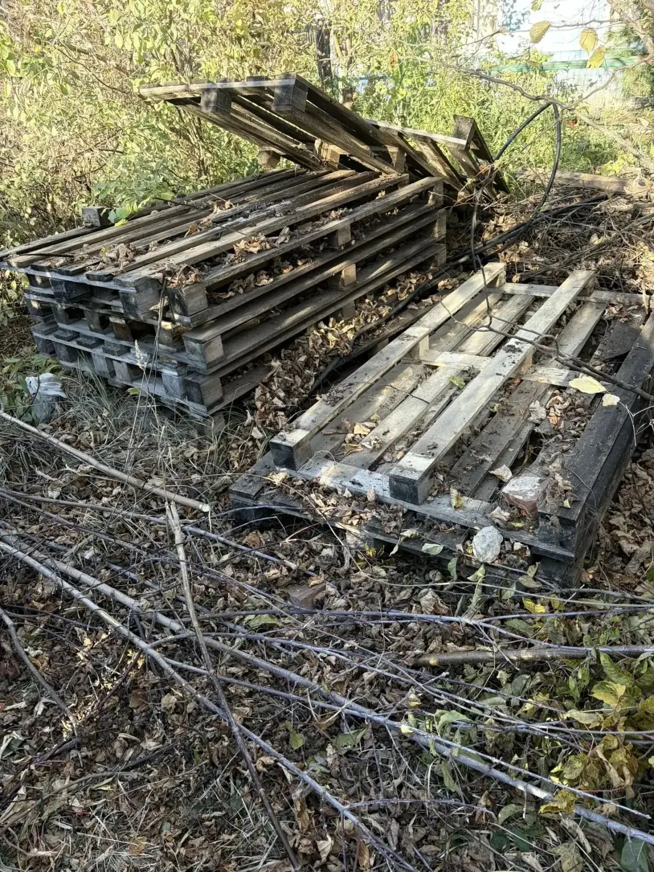 поддоны деревянные большие