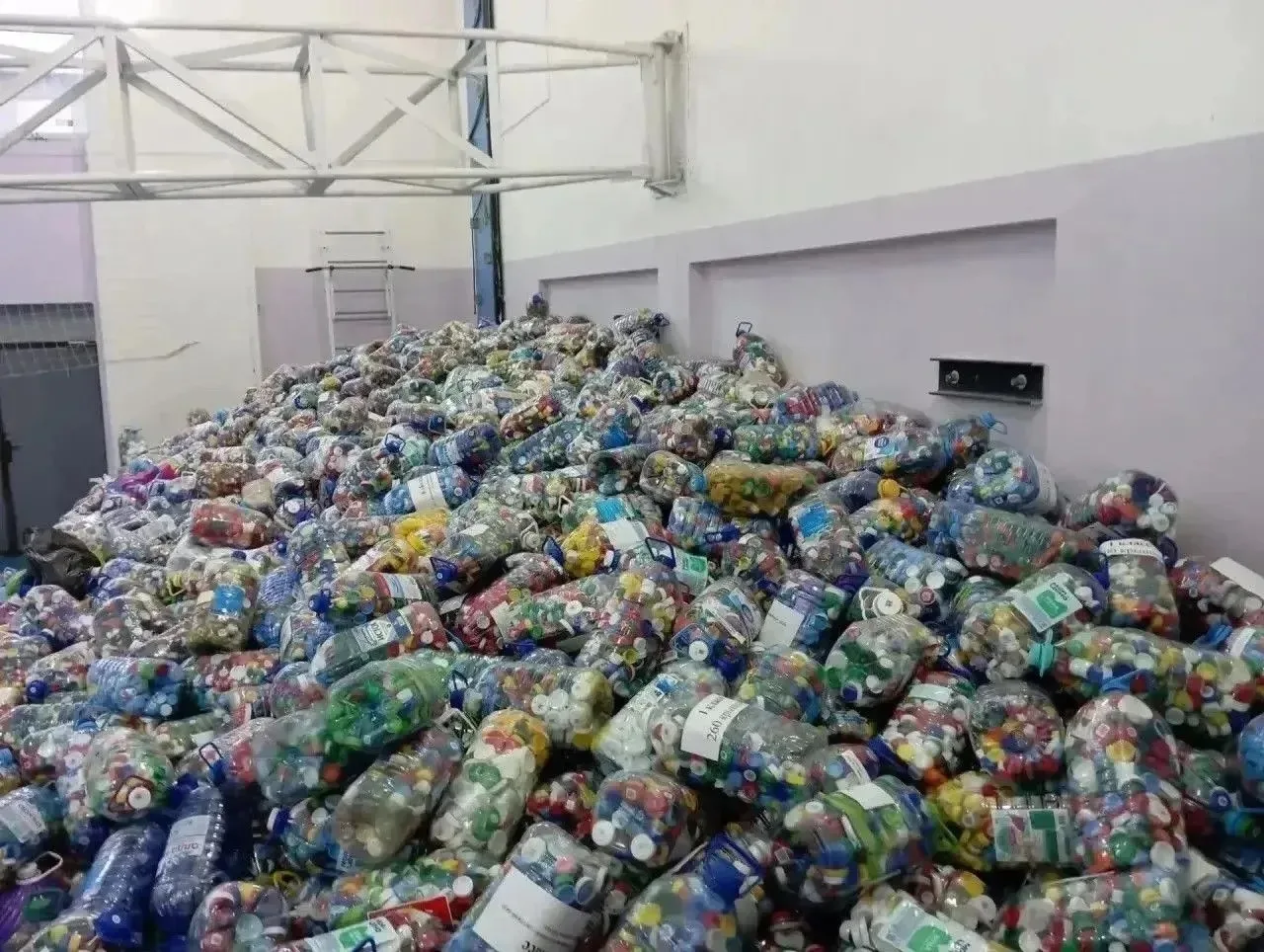 Участники экопроекта «Водорослям крышка» собрали почти 8 млн пластиковых крышек