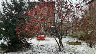 В Новосибирскую область надвигаются дожди и ночные заморозки.