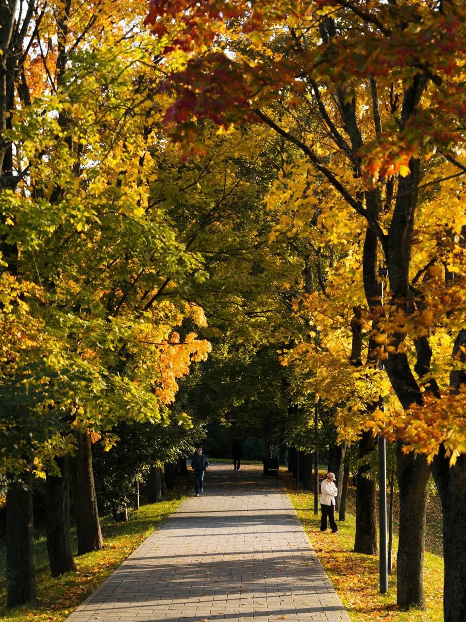 🍂 Осень во всей красе у Речного вокзала 🥰