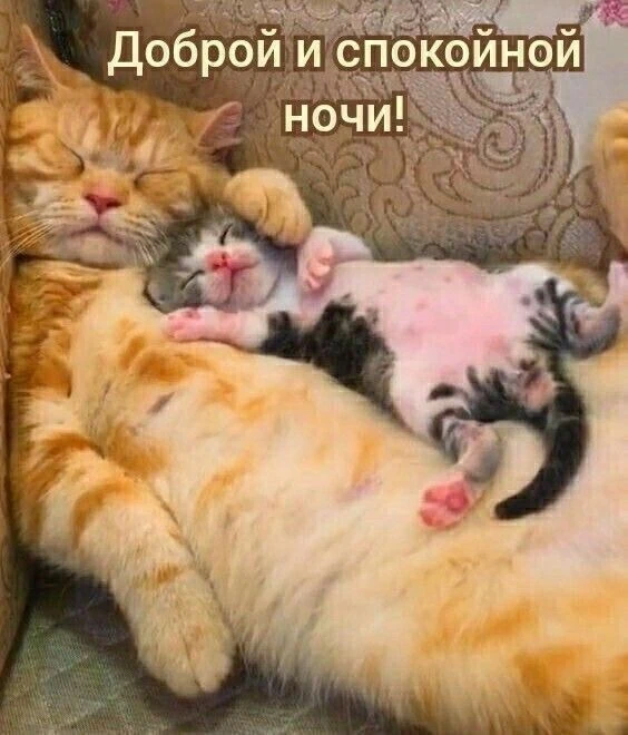 Красивые открытки❤️