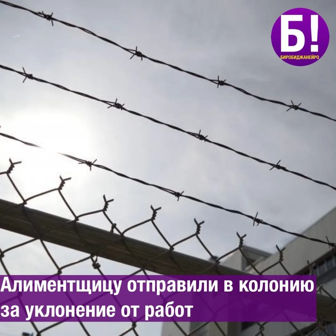 Алиментщицу отправили в колонию за уклонение от работ