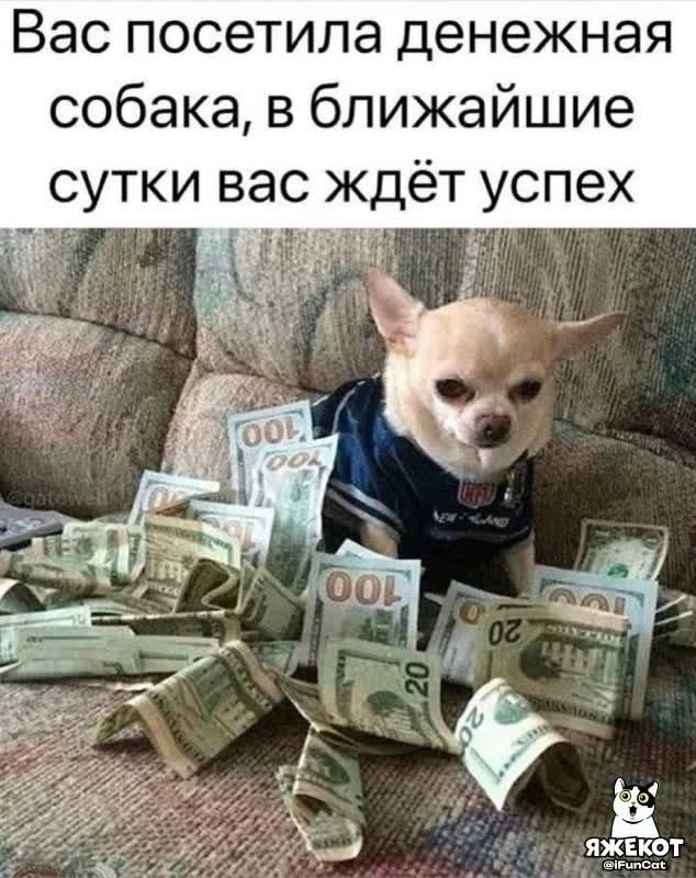 🐾 ЯЖЕКОТ