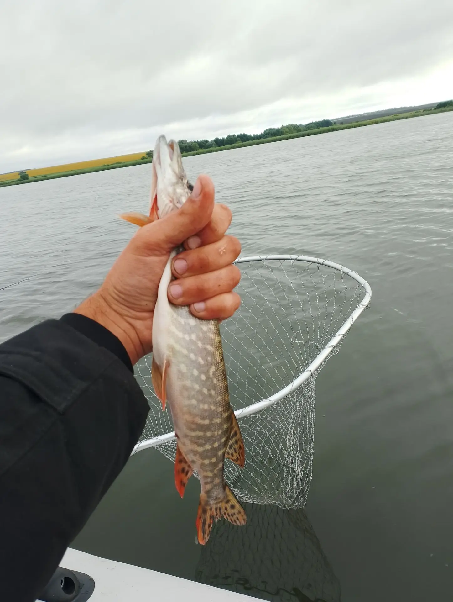 Сегодня. Окрестности Петровск🎣✅