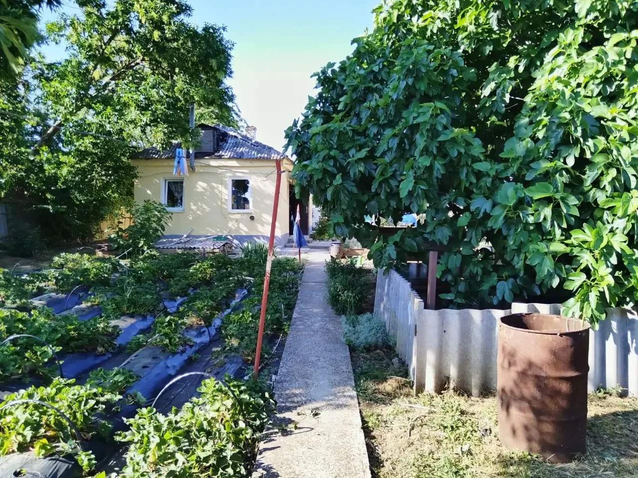 ✅Продажа дома по ул. Мичурина на земельном участке 10 соток