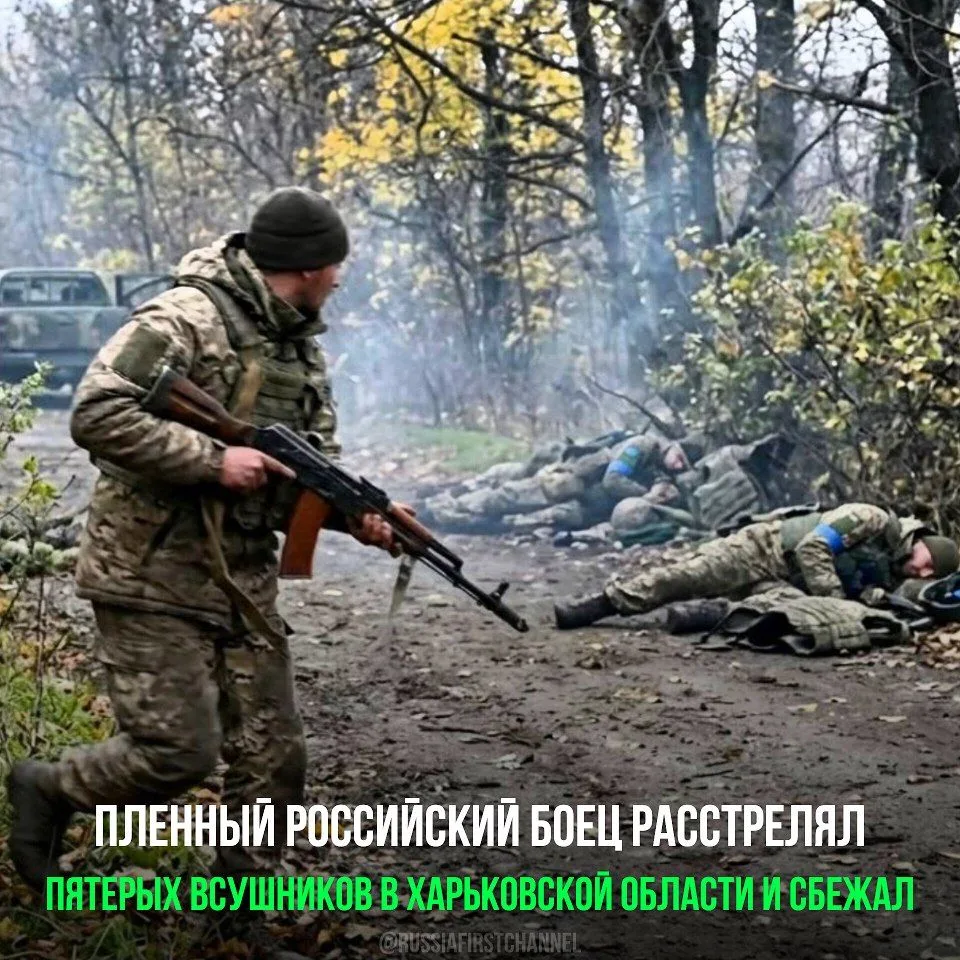 ⚡️ Дерзкий побег под Харьковом: военнопленный расстрелял пятерых бойцов ВСУ и растворился
