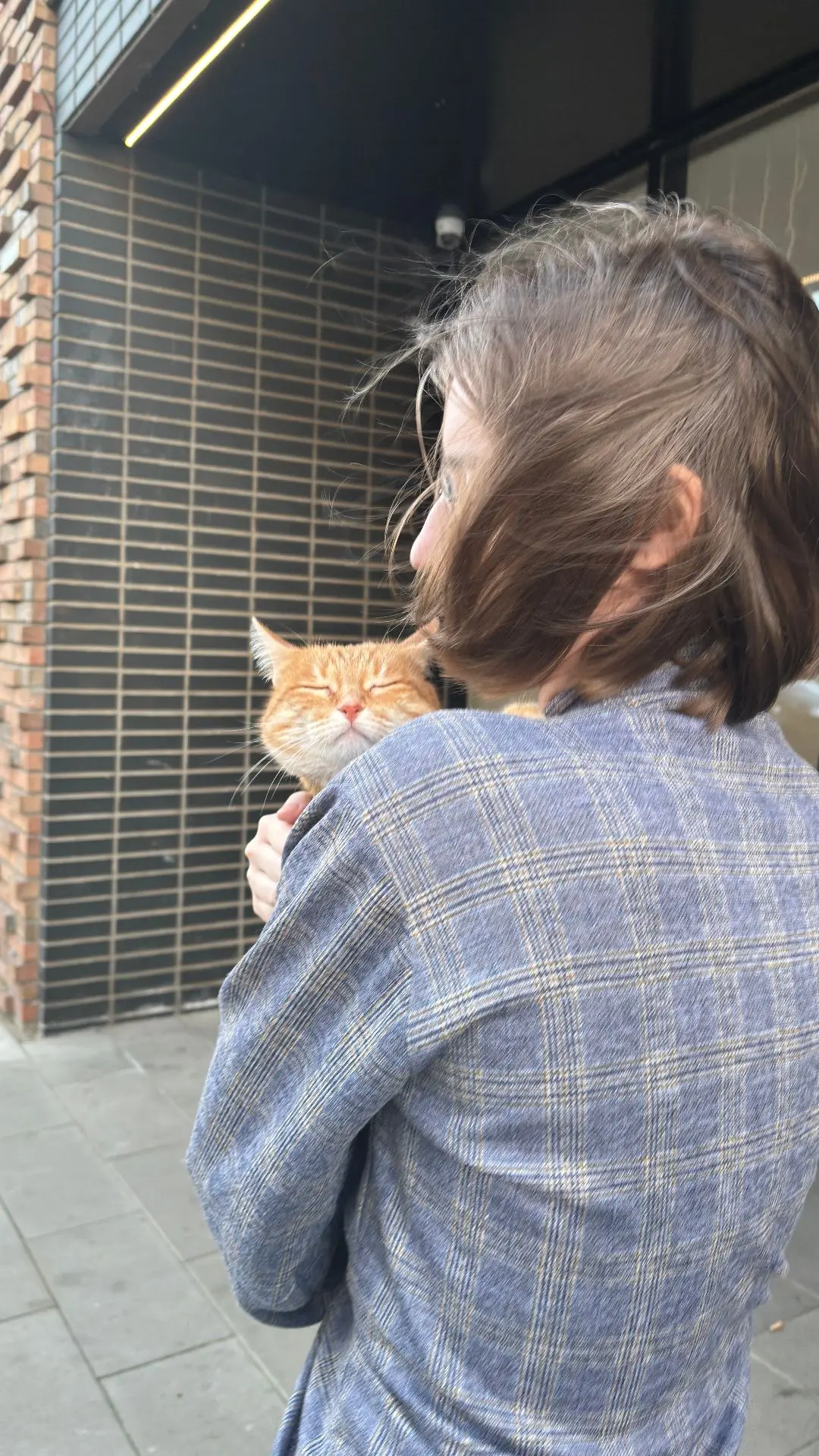 Ветер в мордашку — я еду, вернее, меня несут 😹