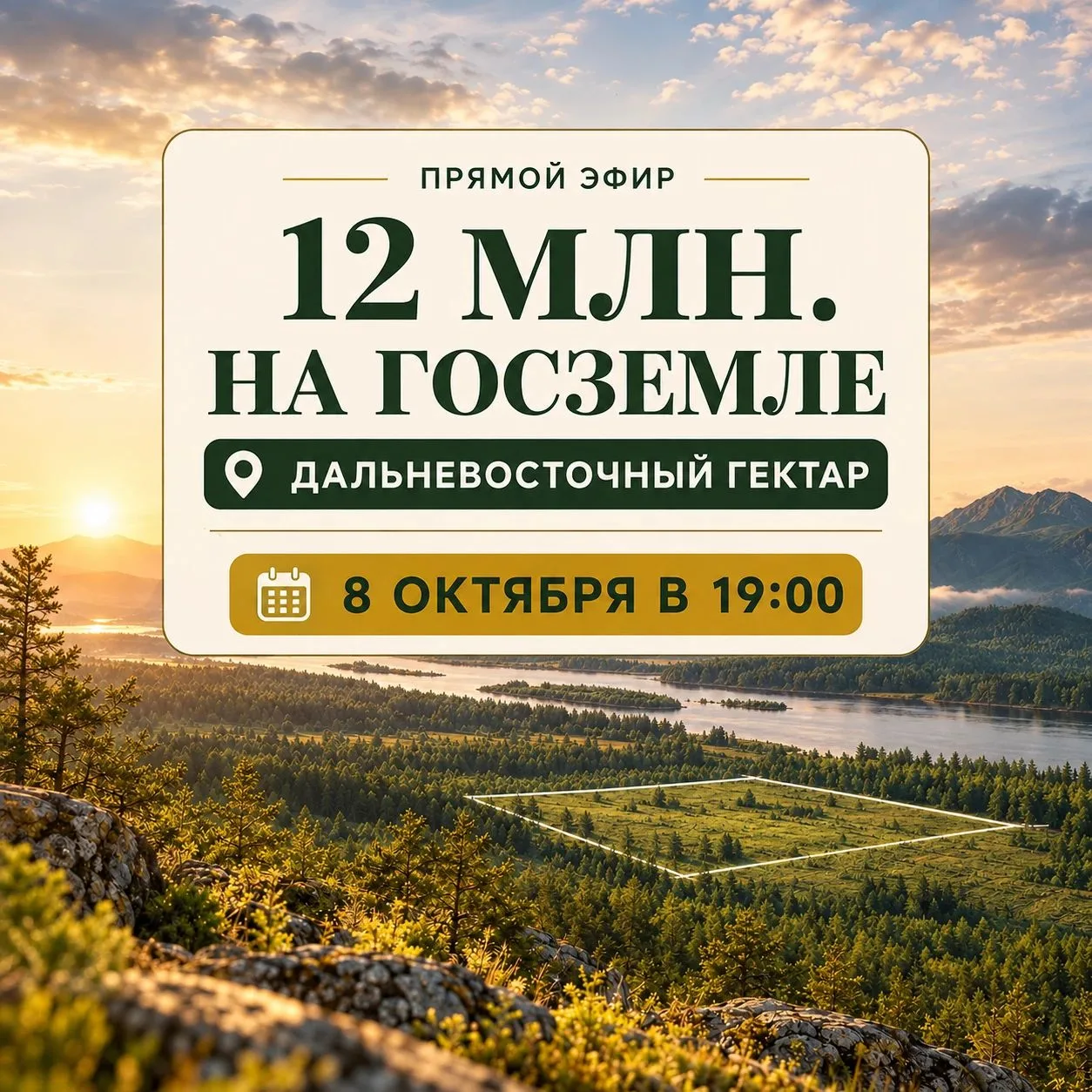 12 млн ₽ на госземле. Как это вообще возможно?