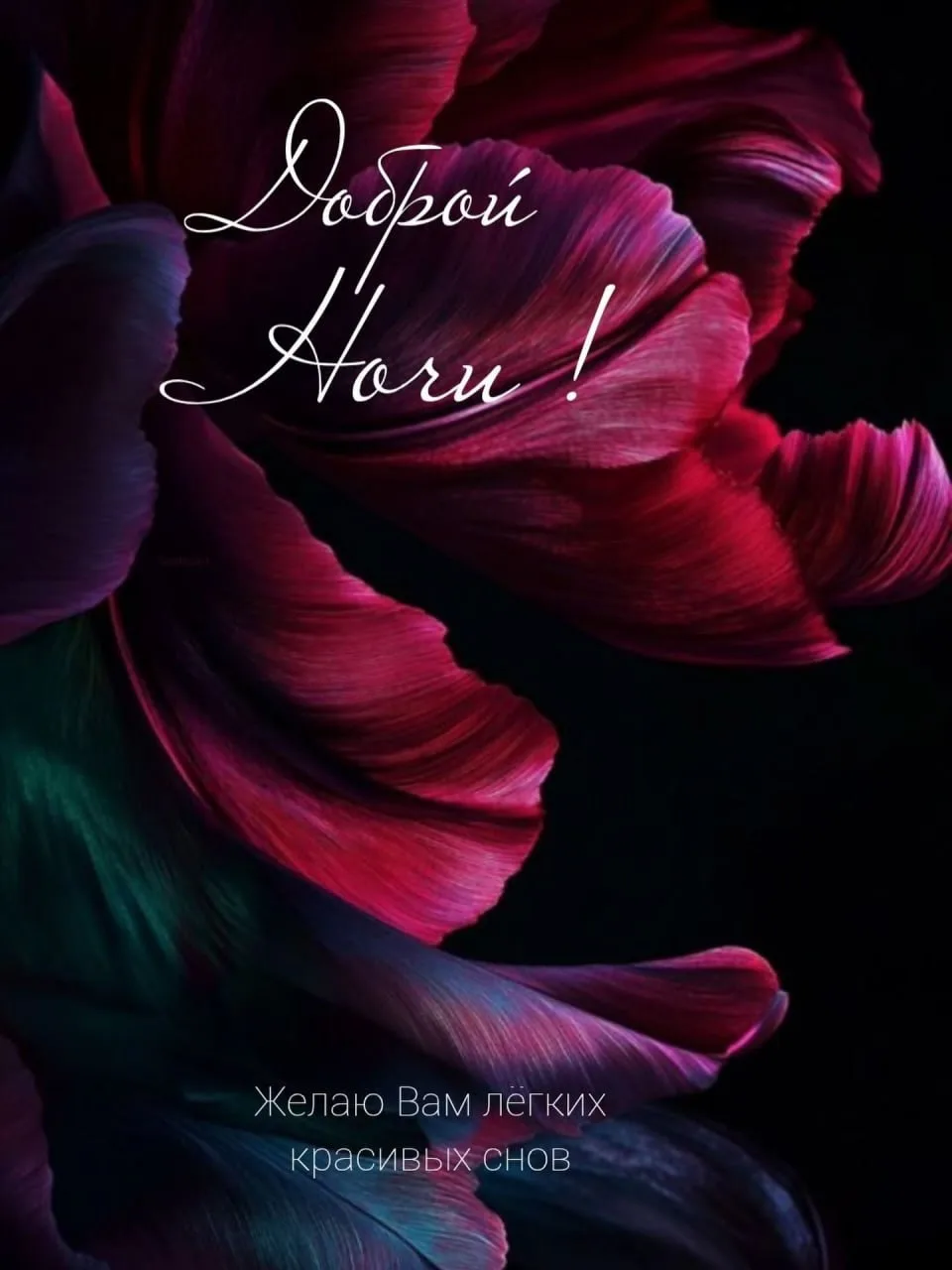 🥱 #доброй_ночи