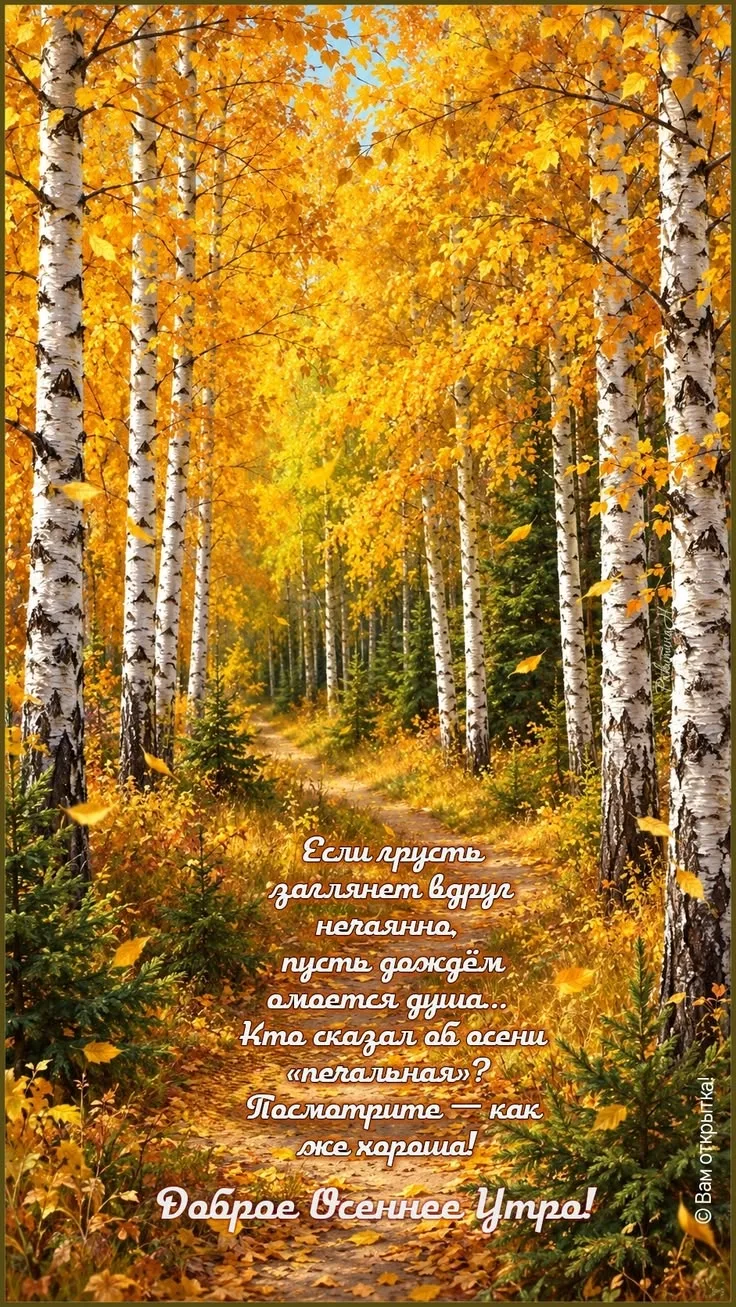 И доброго вам настроения!..