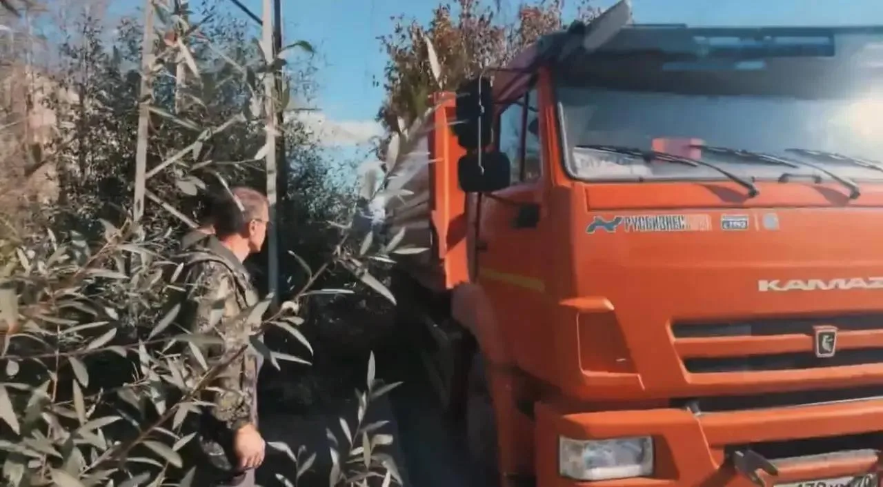 Более 100 клёнов Гиннала высадили на улице Нахимова.