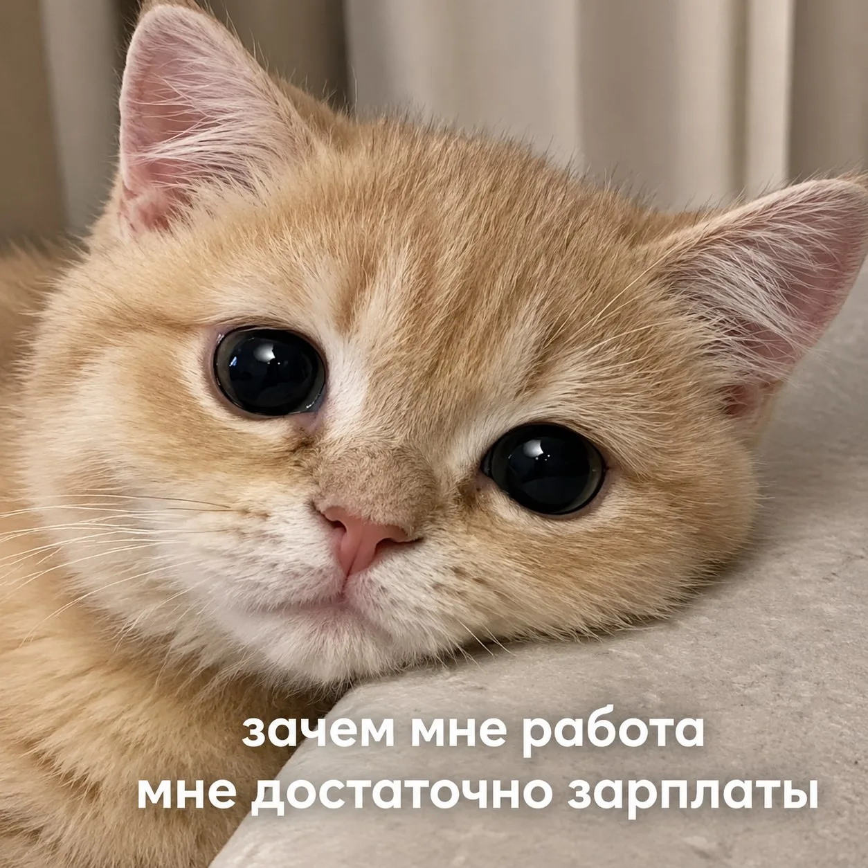 ⚠️ Работа мечты может оказаться ловушкой