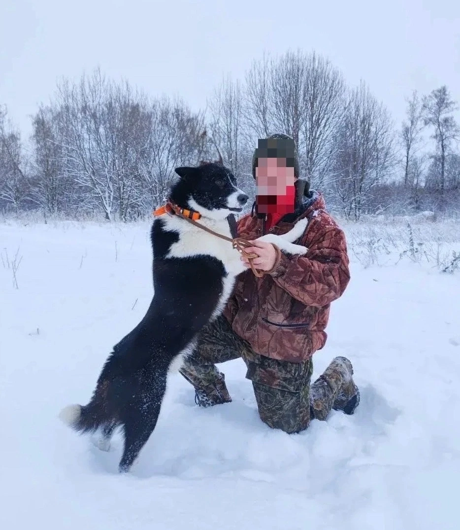 ❗️SOS! ПОТЕРЯЛСЯ В ТЕПЛО-ОГАРЕВСКОМ РАЙОНЕ!❗️