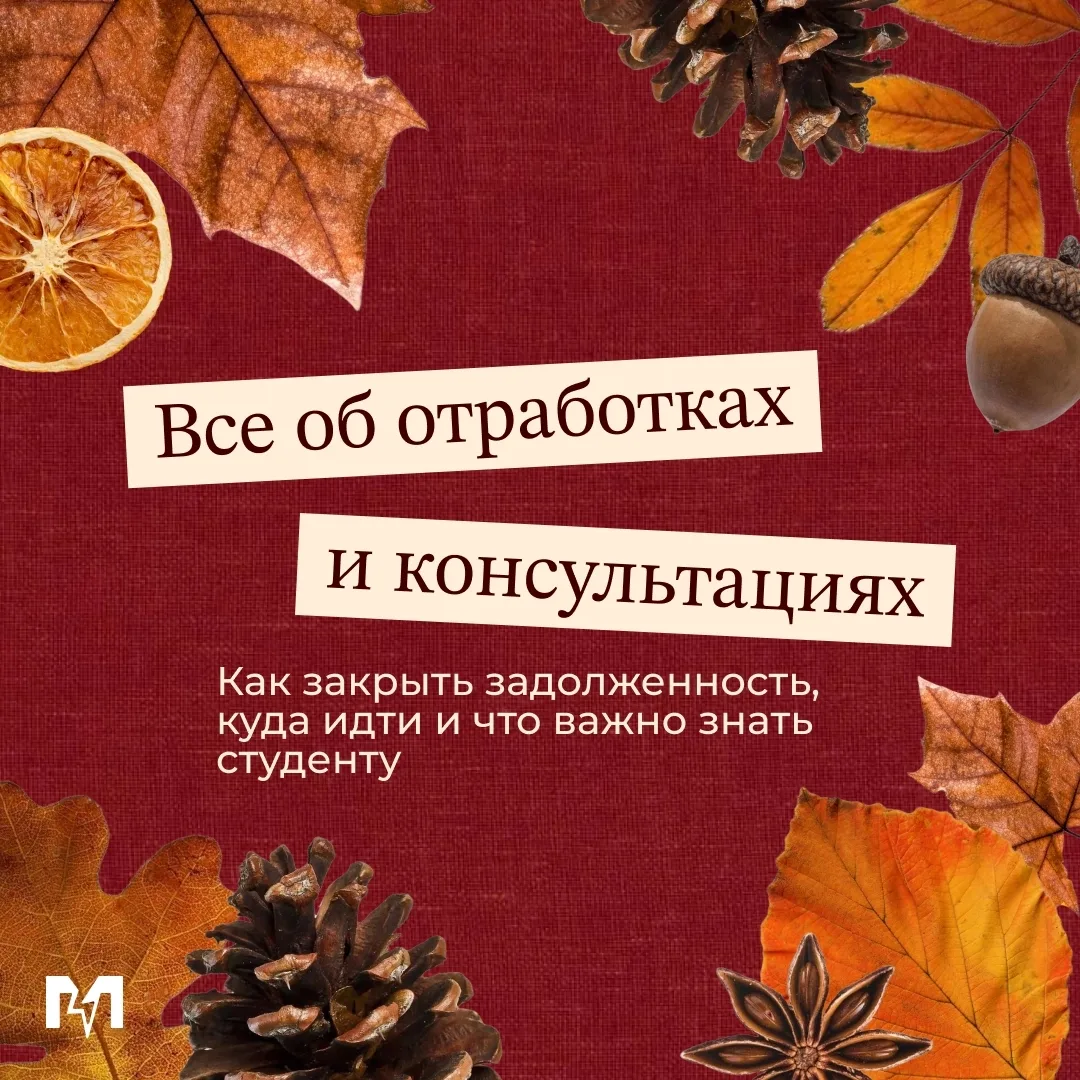 Отработка – не приговор 📚