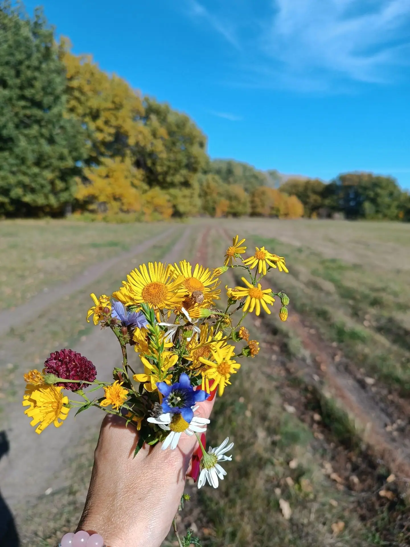 🍁Доброго октябрьского утра!🍁