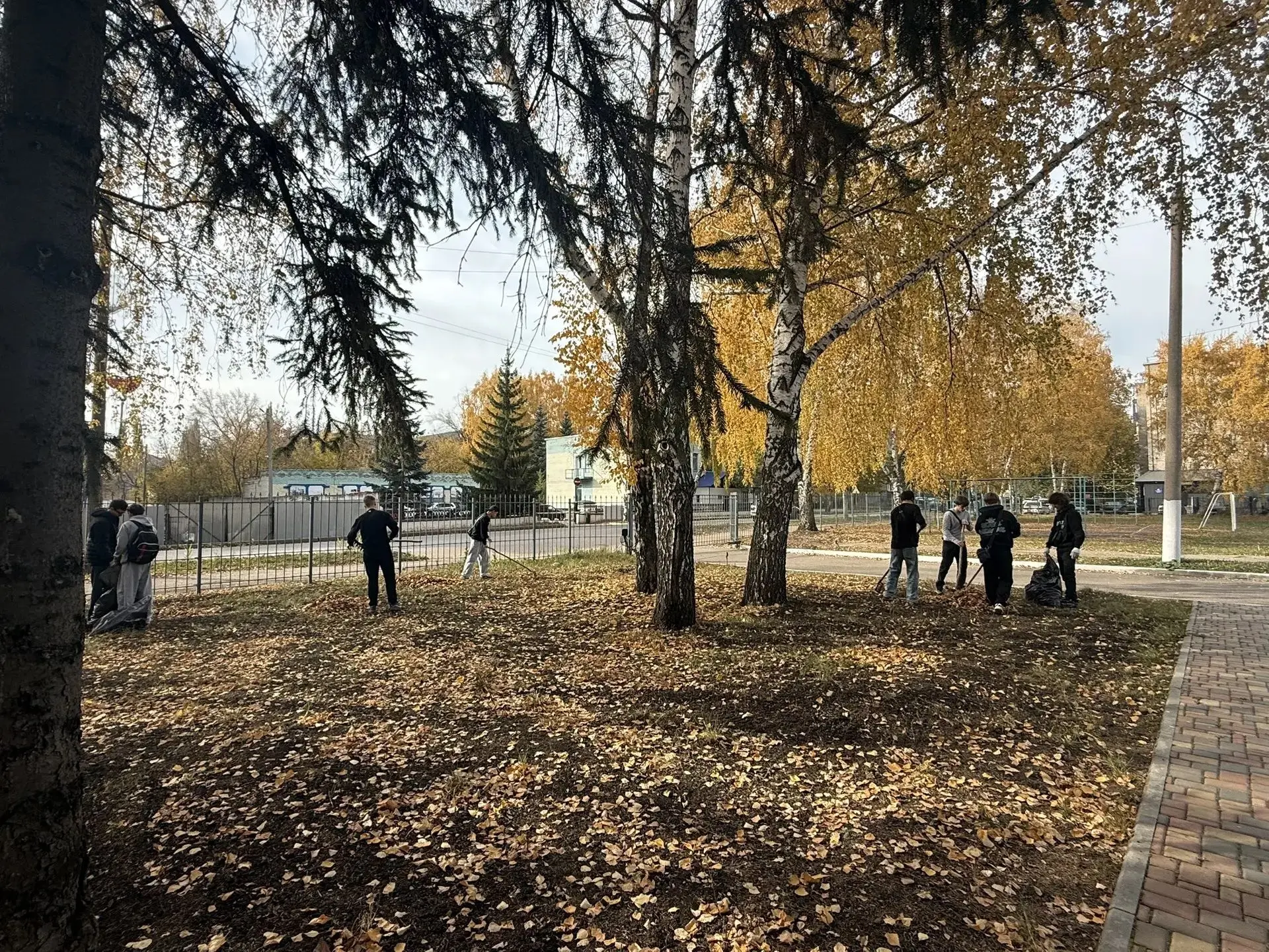 🍁 Осенний субботник в Политехе! 🧹