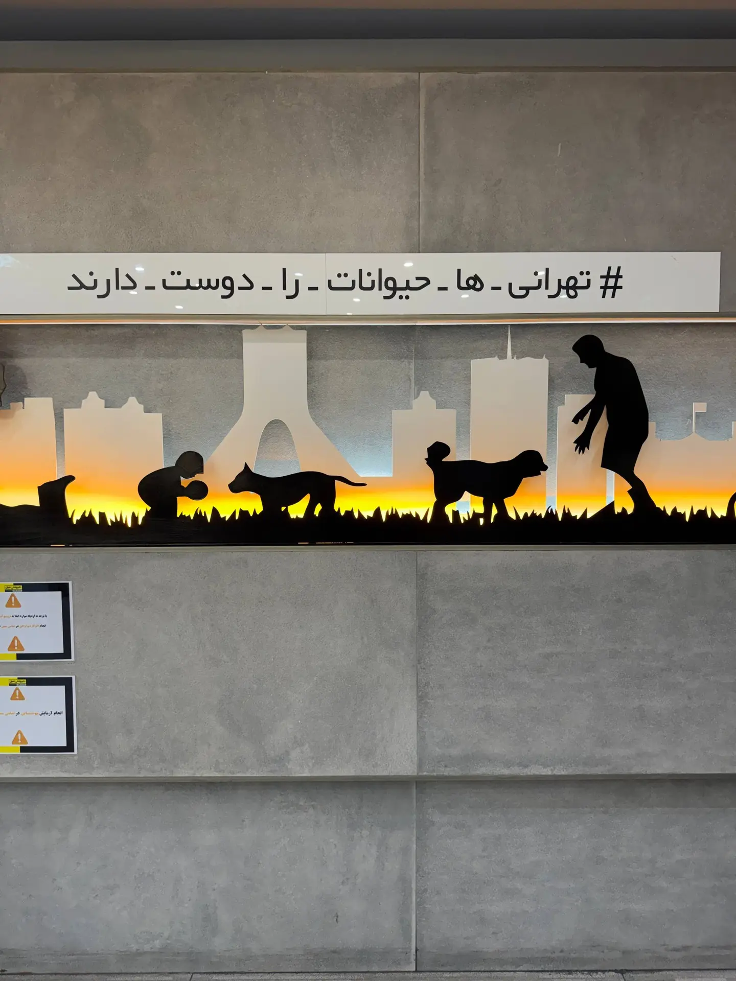🛑 🇮🇷🐈Санкции Запада убивают невинных: под ударом в Иране даже животные
