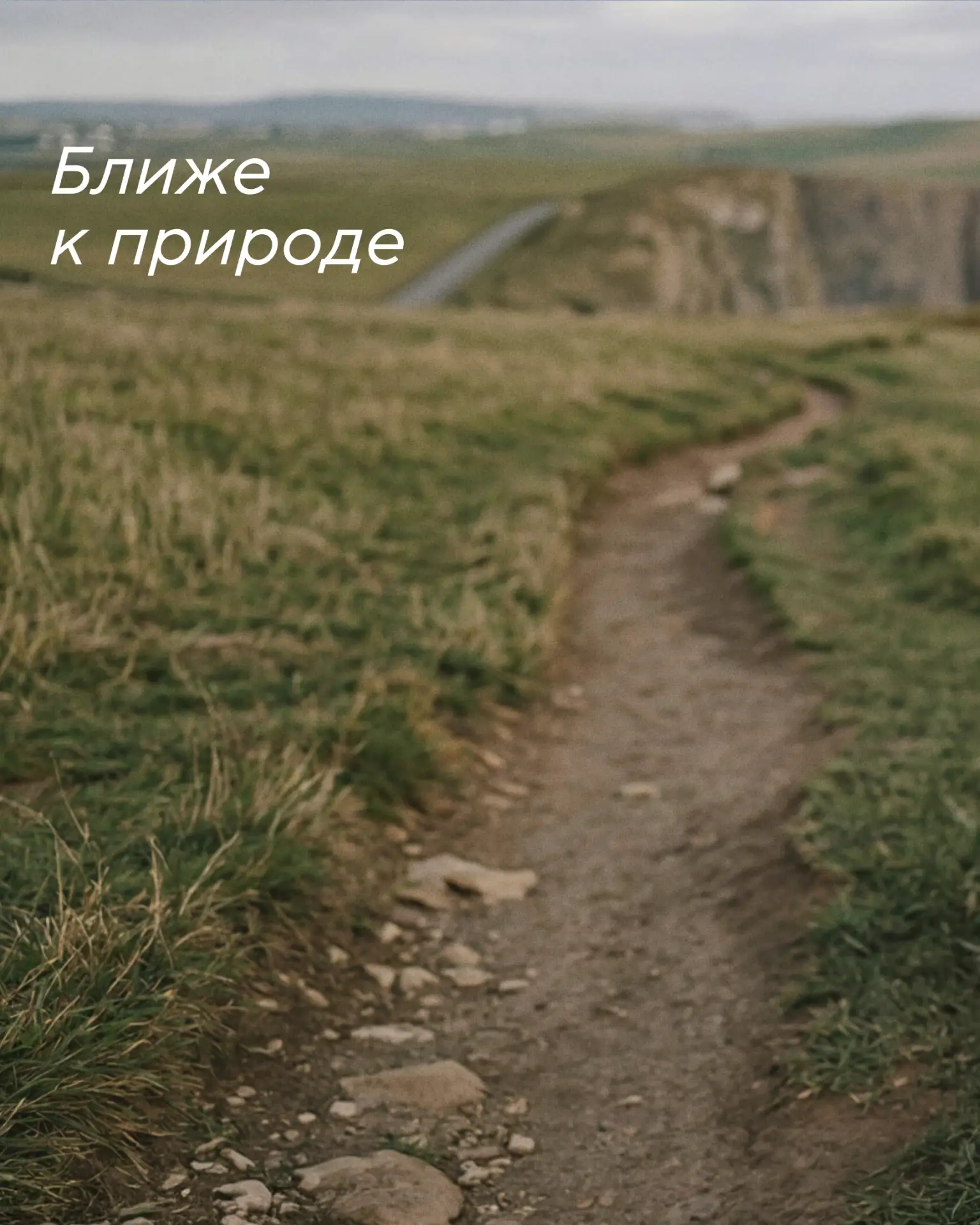 Кажется, это надолго