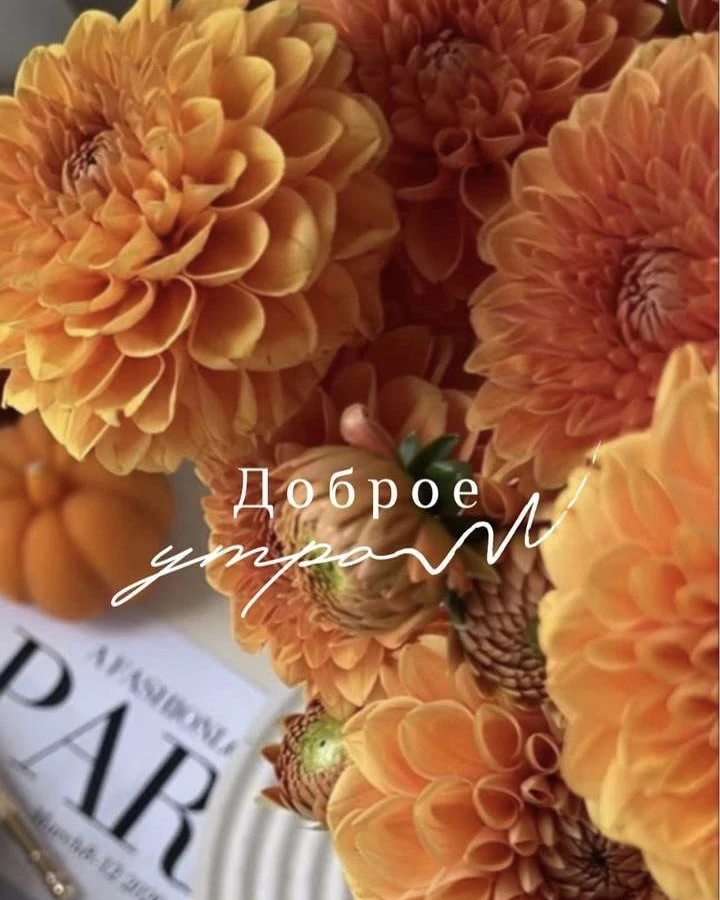 Colibri желает вам доброго утра🌼