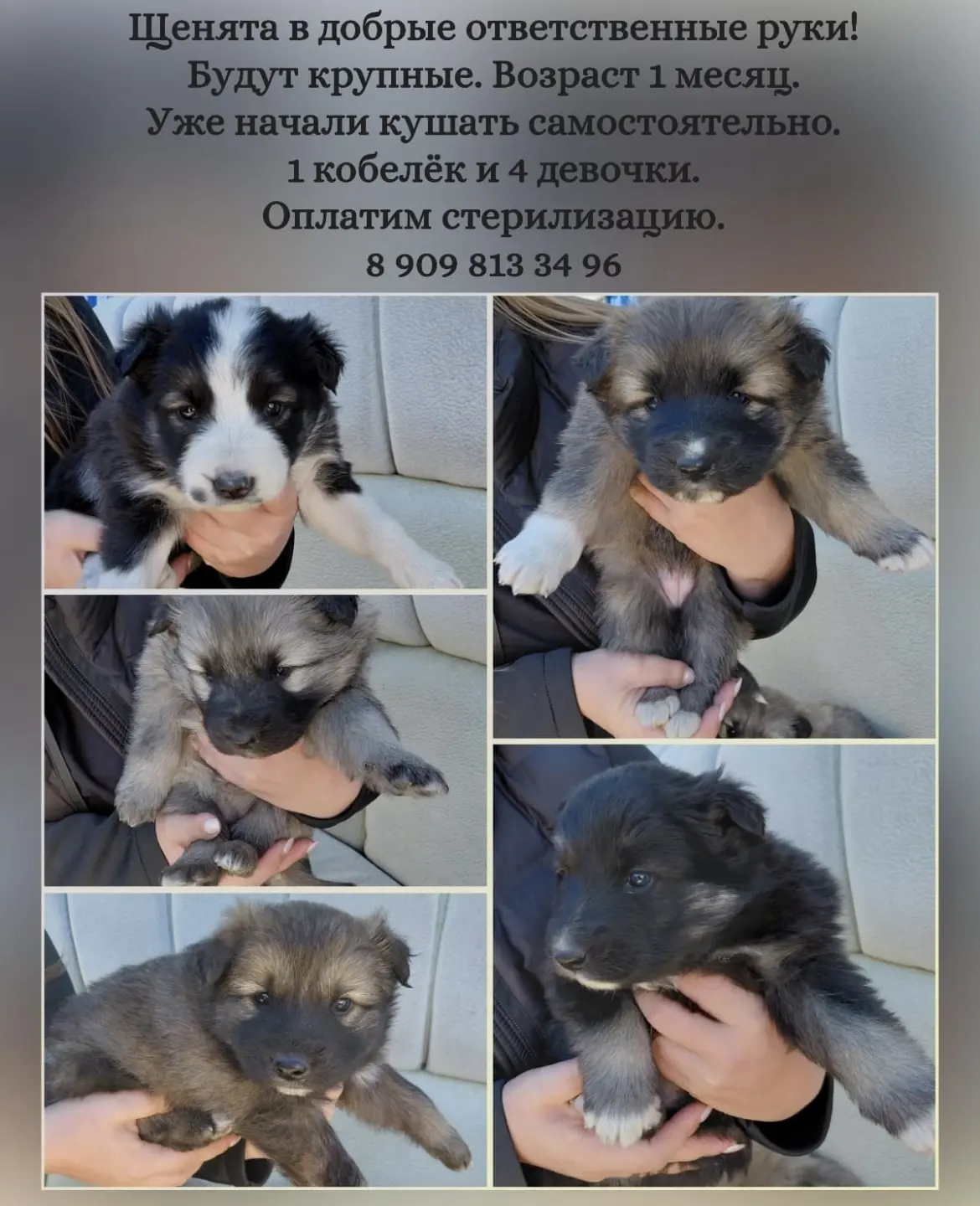 Пожалуйста, будьте людьми!