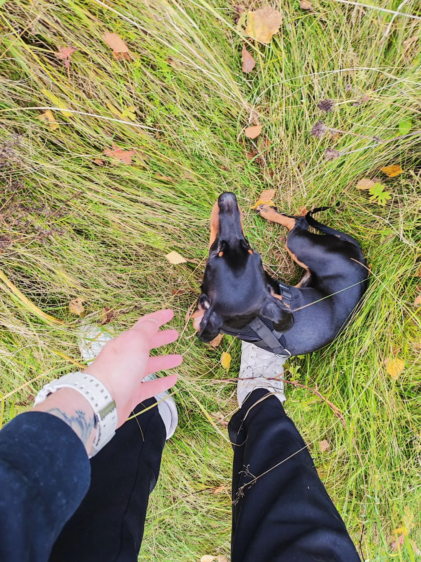 Новые трофеи с нашей фотоохоты на Кильку❤