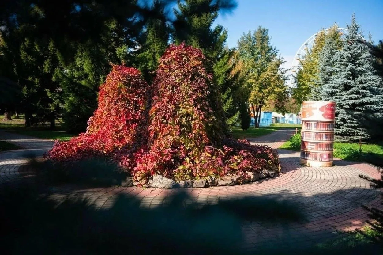 Кузбасс утонул в осенних красках 🍂