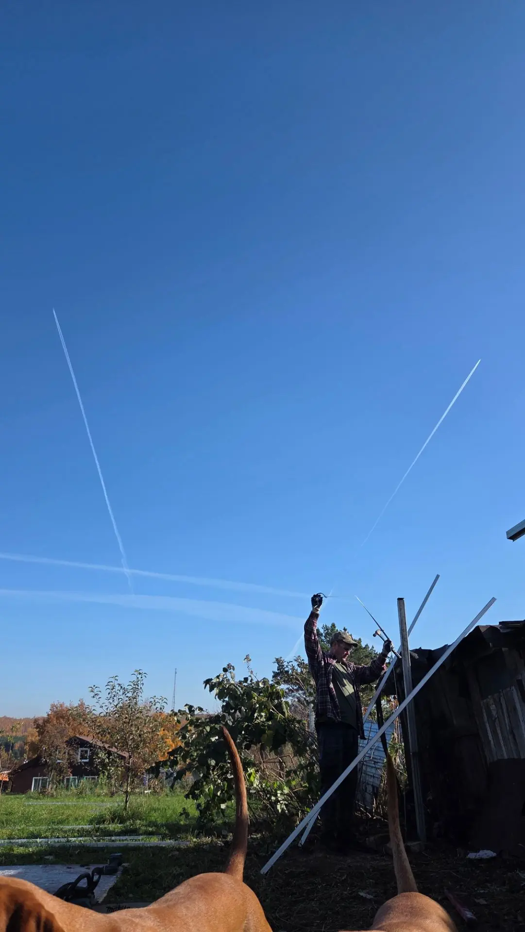 Да, что-то знакомое... 🏚️ Столько сараюшек разобрали... все помнят))  с одной стороны-...