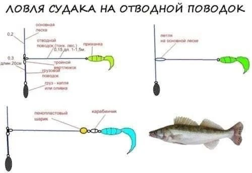Доброе утро.