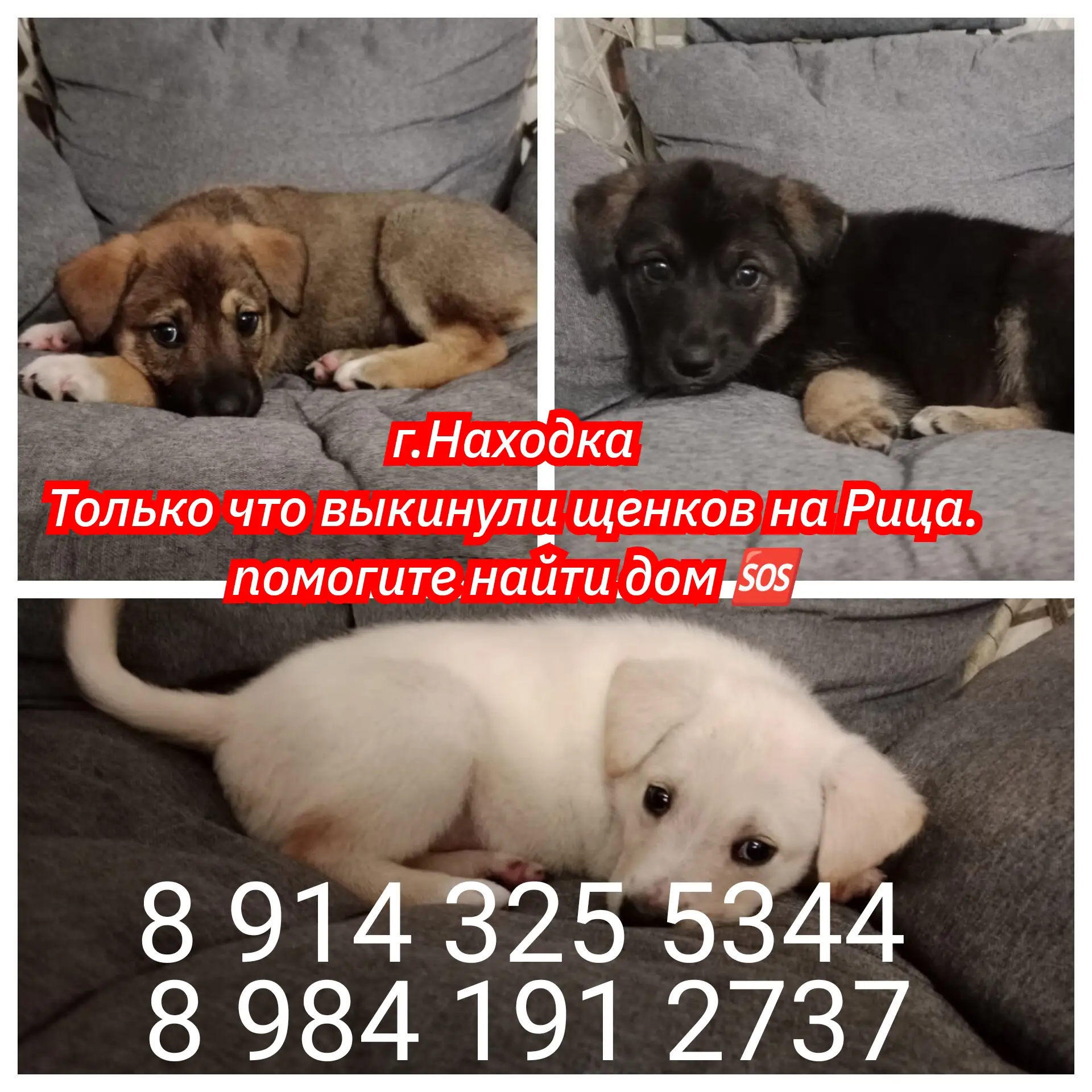 Г.Находка🆘