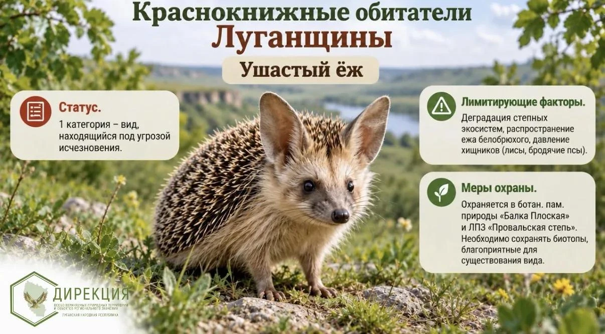 🐾 Сокровища нашей природы: знакомимся с редкими животными ЛНР! 🐾