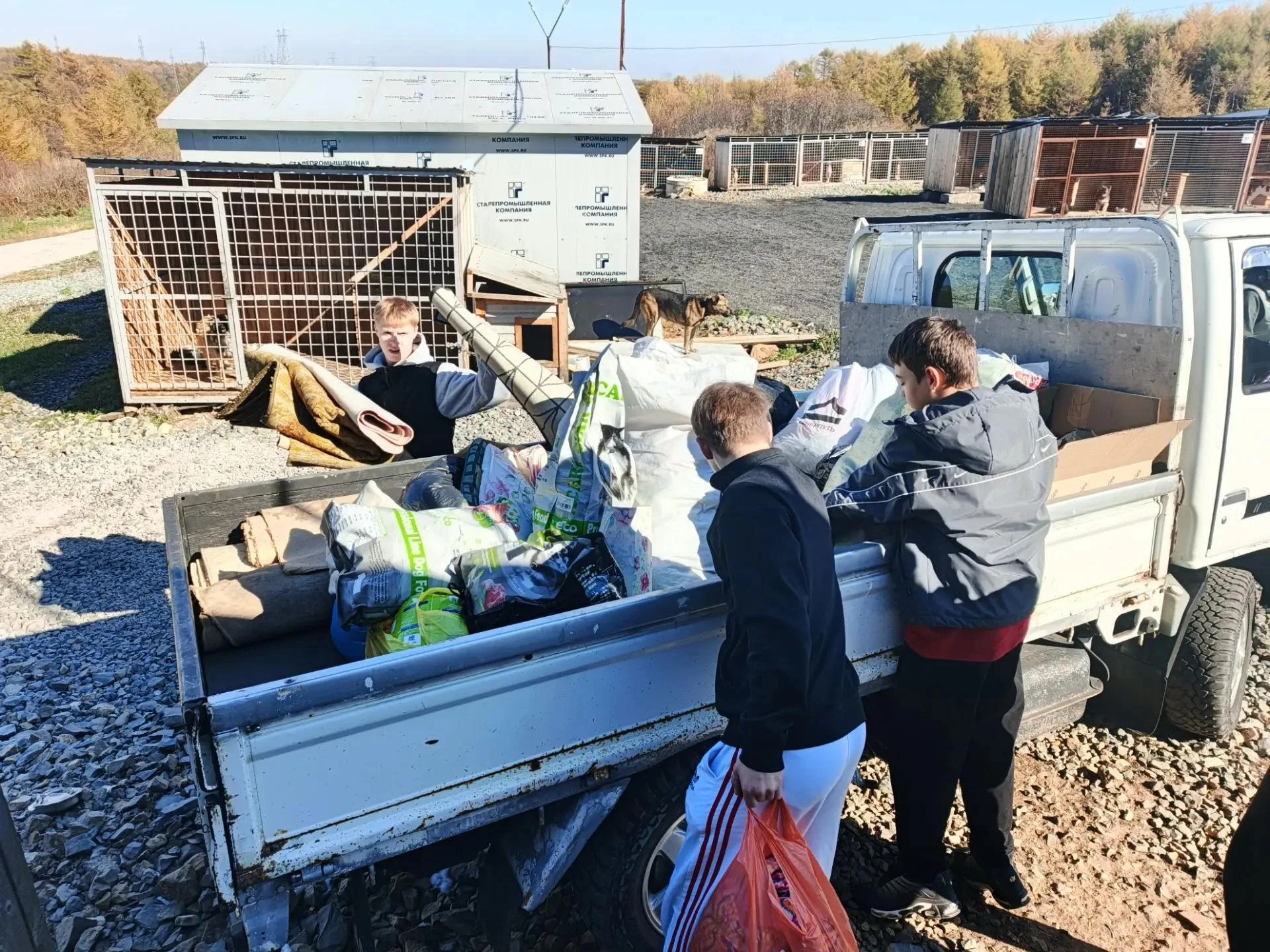 🐾 АКЦИЯ «ЖИВАЯ ДУША»: ПОМОЩЬ ПРИЮТАМ