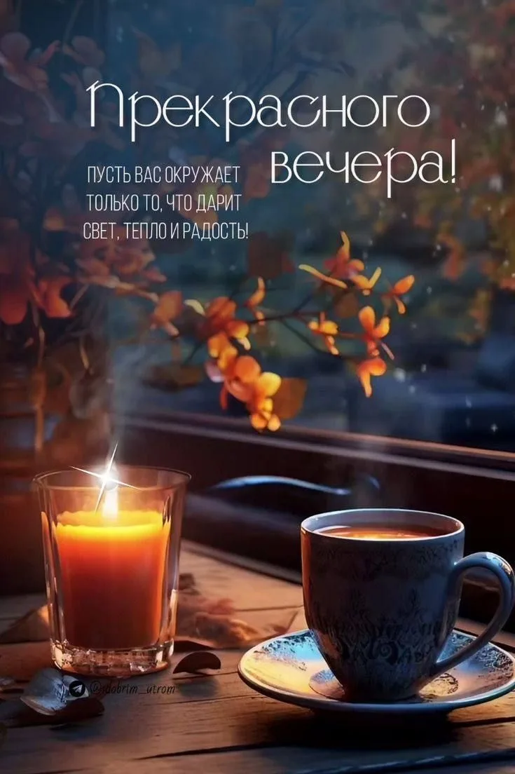 Добрый вечер! 🌙