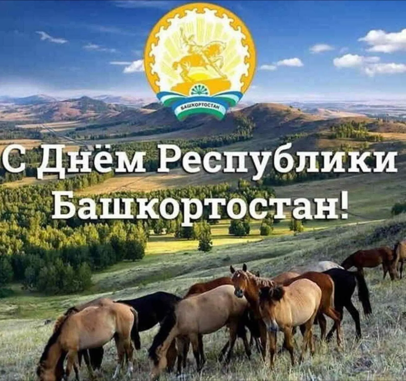 Добрый день! Сегодня - День Республики Башкортостан, поздравляем всех с праздником!